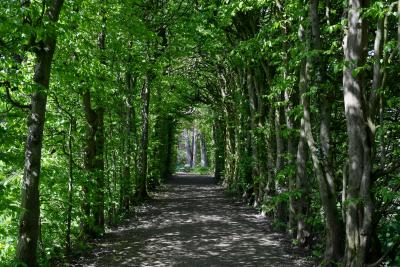 Foto: Laubengang im Rathauspark