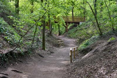 Foto: Oermter Berg Weg