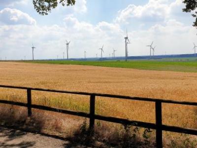 Foto von Feldern am Oermter Berg