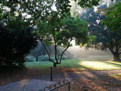 Foto des Rathausparks im Morgengrauen