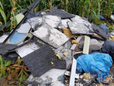Foto: Wilde Müllkippe