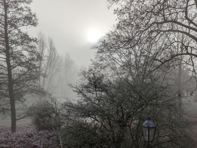 Frostiger Nebel über der Fleuth