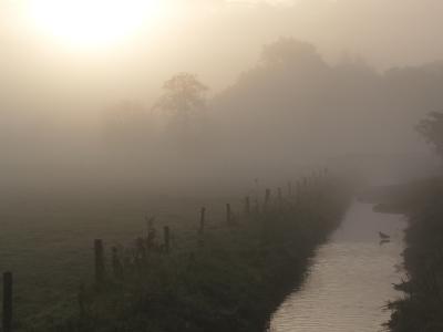 Fleuthwiesen im Nebel