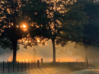 Sonnenaufgang in Vorst