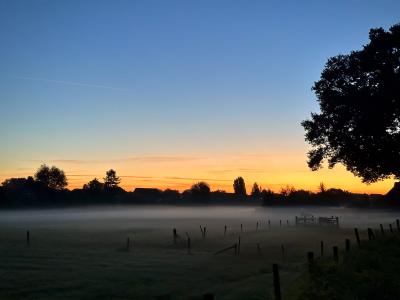 Sonnenaufgang über nebligen Wiesen